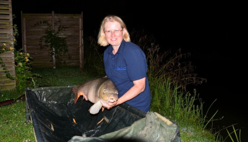 A carp from Mas Bas Lotus Lake, Linda Latham, Jul 2014