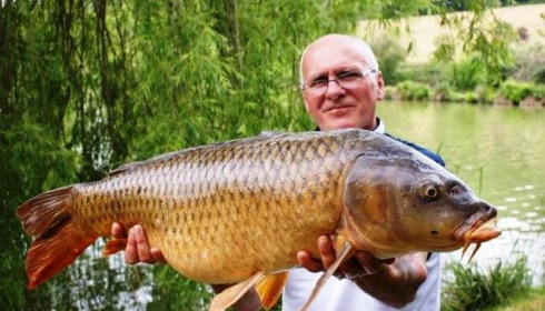 A carp from Mas Bas Lotus Lake, May 2011