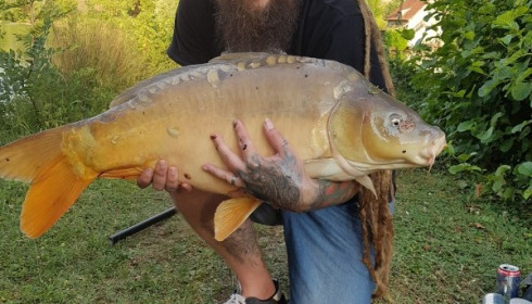 A 34 lb carp from Mas Bas Lotus Lake, Jul 2018