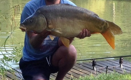 A carp from Mas Bas Lotus Lake, James Harford, Jul 2014