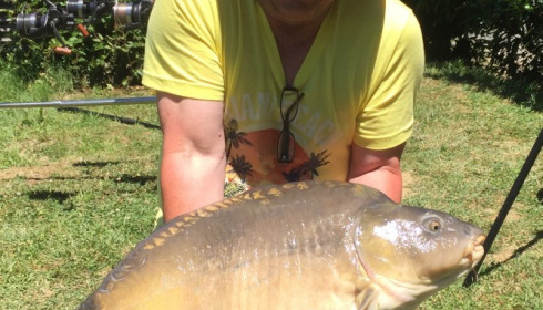 A 31 lb carp from Mas Bas Lotus Lake, Jun 2015