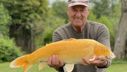 A fish from Mas Bas Main Lake, Koi Carp, May 2023