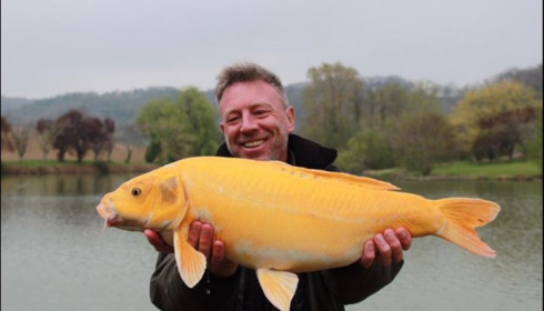 A carp from Mas Bas Main Lake, McIntyre Party, Apr 2019