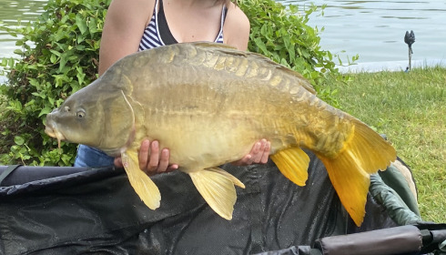 A fish from Mas Bas Main Lake, Aug 2021