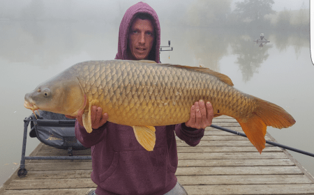 A 35 lb carp from Mas Bas Main Lake, Gary Whittaker, Oct 2016