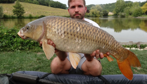 A carp from Mas Bas Main Lake, Graham Reid, Sep 2015