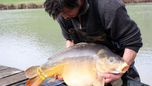 A carp from Mas Bas Main Lake, 2010 stocking, Feb 2010