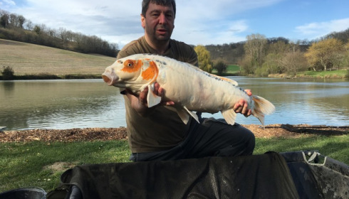 A carp from Mas Bas Main Lake, Apr 2018