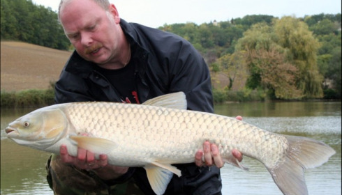 A carp from Mas Bas Main Lake, Sander Beijderwellen, Oct 2019