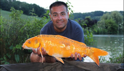 A carp from Mas Bas Main Lake, Jun 2018