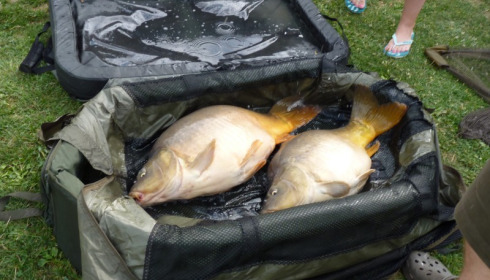 A carp from Mas Bas Main Lake, Mark Cannon, Jul 2014