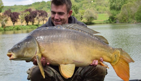A 36 lb 10 oz carp from Mas Bas Main Lake, Fletcher, Apr 2015