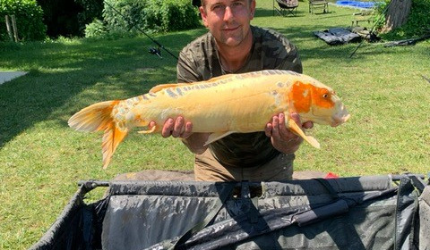 A fish from Mas Bas Main Lake, koi, Aug 2021
