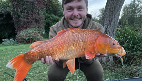 A carp from Mas Bas Main Lake, Adrian Southwood, Oct 2021