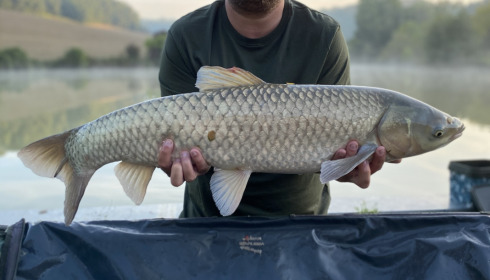 A fish from Mas Bas Main Lake, Sep 2021