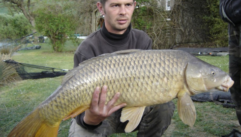 A carp from Mas Bas Main Lake, michael, Apr 2012