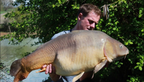 A 42 lb carp from Mas Bas Main Lake, Daniel Mcintyre, Apr 2019