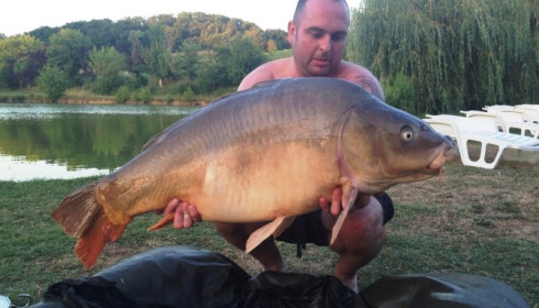 A 41 lb carp from Mas Bas Main Lake, Paul Ward, Aug 2013