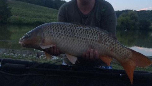 A 22 lb carp from Mas Bas Main Lake, Lianne Swain, Aug 2015