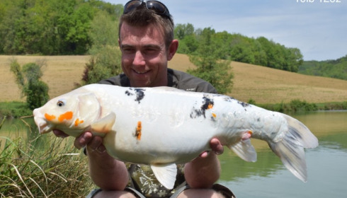 A carp from Mas Bas Main Lake, Fletcher, Apr 2015