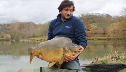 A 50 lb 9 oz carp from Mas Bas Main Lake, Mar 2013