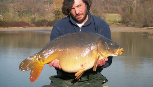 A 34 lb carp from Mas Bas Main Lake, netting 2014, Jan 2014