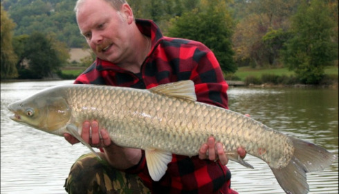 A carp from Mas Bas Main Lake, Sander Beijderwellen, Oct 2019