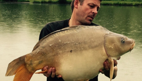 A 33 lb 10 oz carp from Mas Bas Main Lake, Paul Braham, May 2017