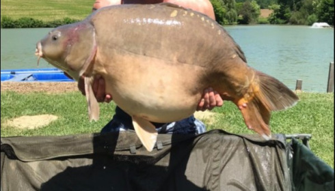 A 46 lb 5 oz carp from Mas Bas Main Lake, Tony Bond, Jun 2018