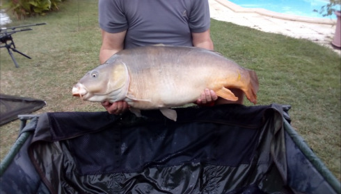 A 45 lb carp from Mas Bas Main Lake, Mark Hoggins, Sep 2018