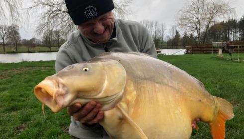 A carp from Mystique, Jan 2023