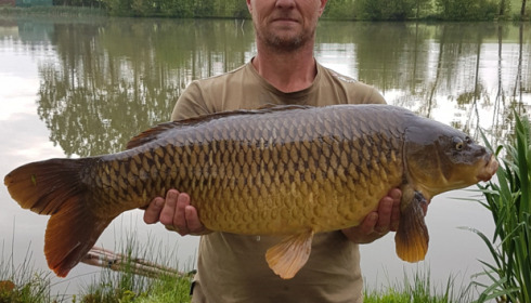 A carp from Mystique, Sep 2021