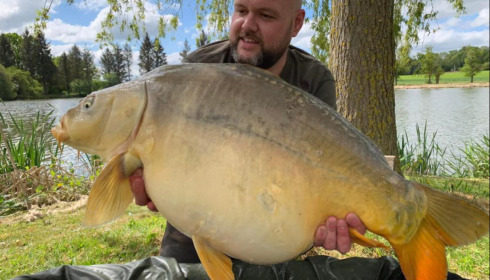 A carp from Mystique, Sep 2022