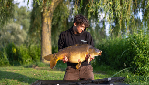 A carp from Mystique, Jun 2023