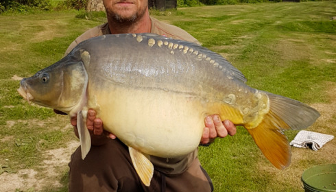 A carp from Mystique, Sep 2021