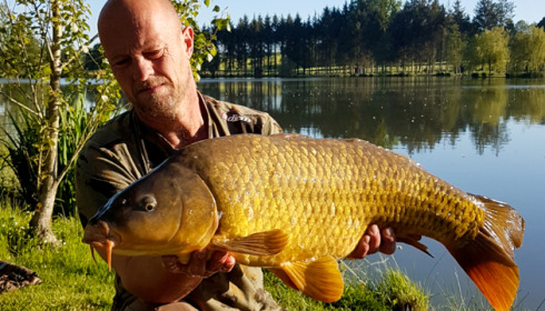 A carp from Mystique, Sep 2021