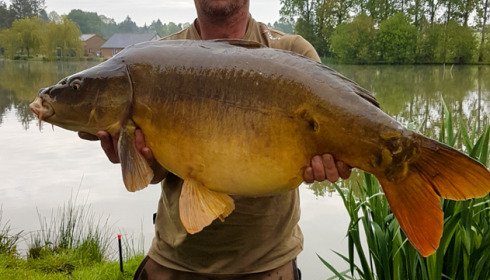 A carp from Mystique, Sep 2021