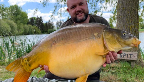 A carp from Mystique, Sep 2022
