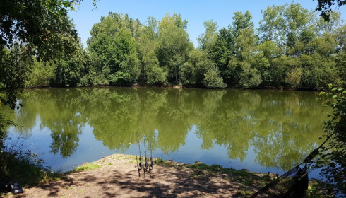 A fish from Old Oaks, Mike Johnson, Jul 2017