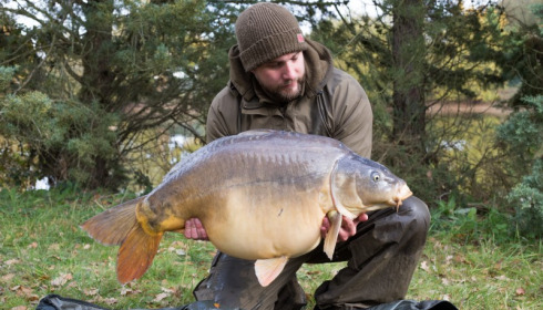 A carp from Old Oaks, Paul Rogers, Nov 2017