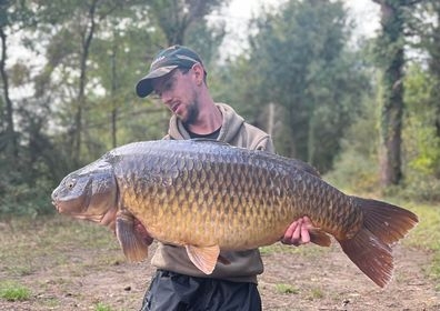 A carp from Old Oaks, Oct 2022