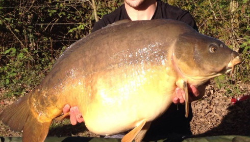 A 43 lb 8 oz carp from Old Oaks, Apr 2014