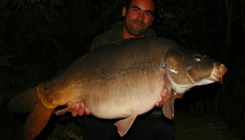 A 37 lb carp from Old Oaks, Oct 2008