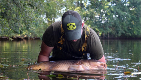 A carp from Old Oaks, Lee Heath, Jul 2019