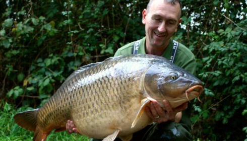 A 55 lb carp from Old Oaks, Steve Barber, Oct 2017