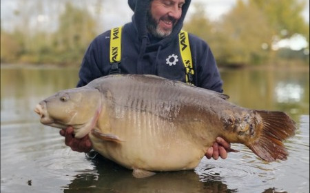A carp from Old Oaks, Nov 2018