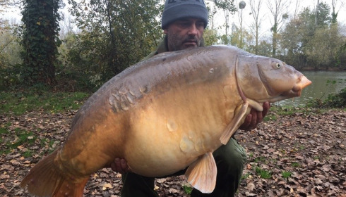 A carp from Old Oaks, Adrian Storer, Nov 2015