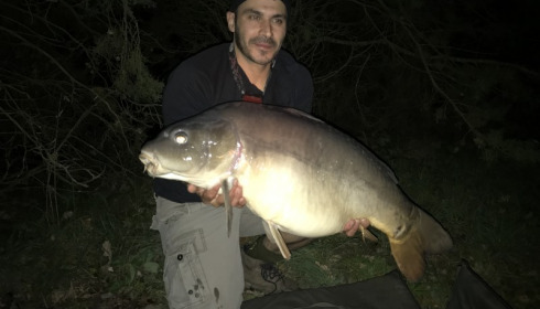 A carp from Old Oaks, Nicolas Delcolle, Oct 2017