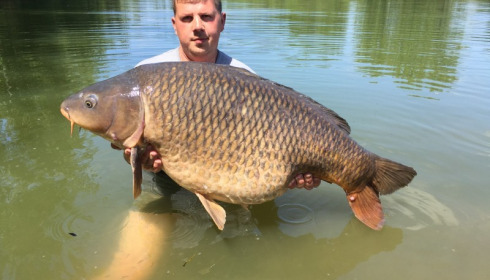 A 53 lb 8 oz carp from Old Oaks, Jun 2015