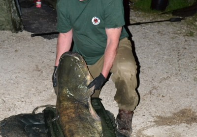 A carp from Old Oaks, Daniel Vincent Akerman, Aug 2013